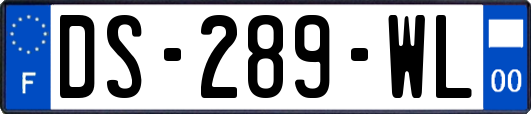 DS-289-WL