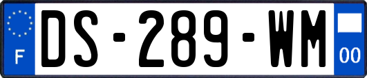 DS-289-WM