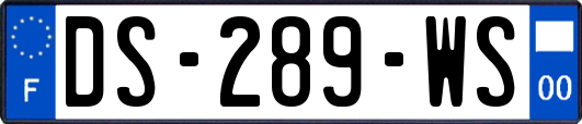 DS-289-WS
