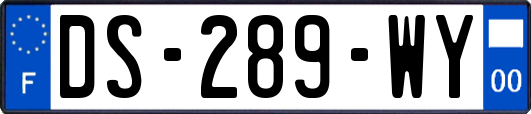 DS-289-WY