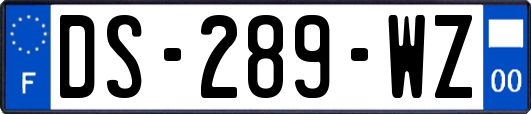 DS-289-WZ