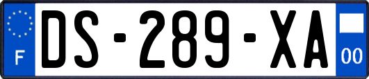 DS-289-XA