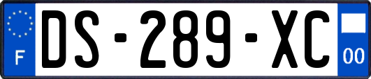 DS-289-XC