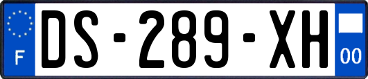 DS-289-XH