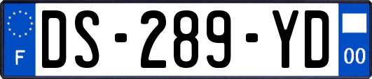 DS-289-YD