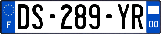 DS-289-YR