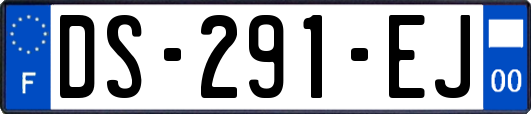 DS-291-EJ