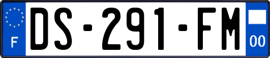 DS-291-FM