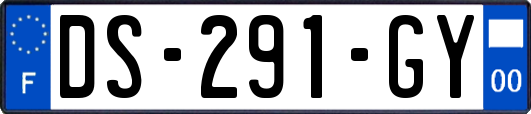 DS-291-GY