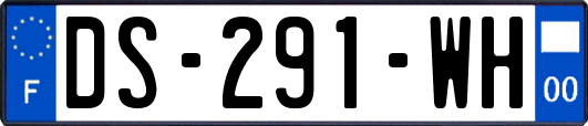 DS-291-WH