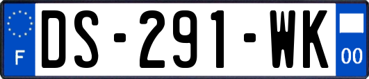 DS-291-WK