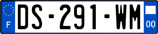 DS-291-WM