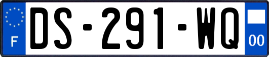 DS-291-WQ