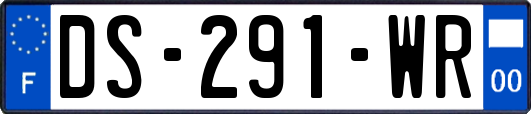 DS-291-WR