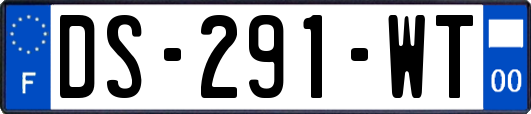 DS-291-WT