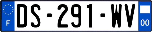 DS-291-WV