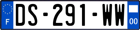 DS-291-WW