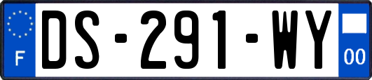 DS-291-WY