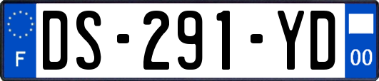 DS-291-YD