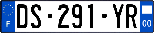 DS-291-YR