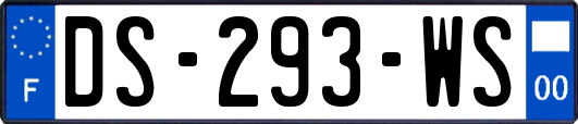 DS-293-WS