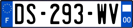 DS-293-WV