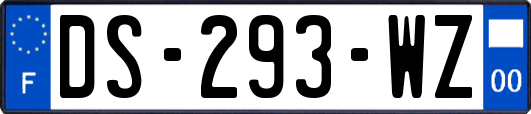DS-293-WZ