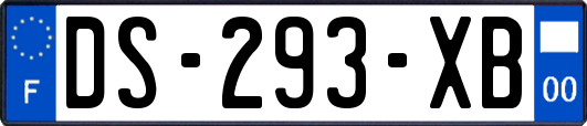 DS-293-XB