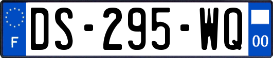 DS-295-WQ