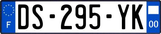 DS-295-YK