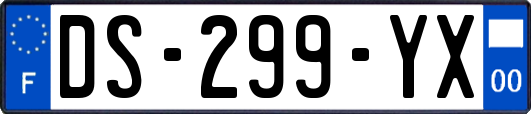 DS-299-YX