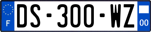 DS-300-WZ