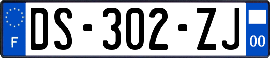 DS-302-ZJ
