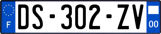 DS-302-ZV