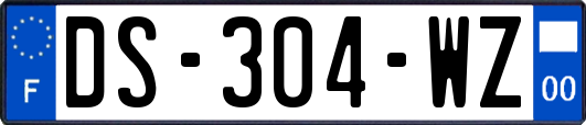 DS-304-WZ