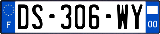 DS-306-WY