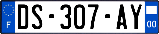 DS-307-AY