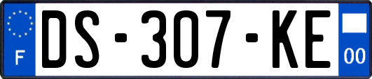 DS-307-KE