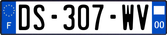 DS-307-WV