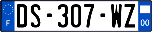 DS-307-WZ