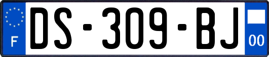 DS-309-BJ