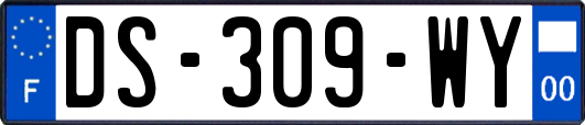 DS-309-WY