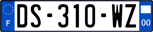 DS-310-WZ
