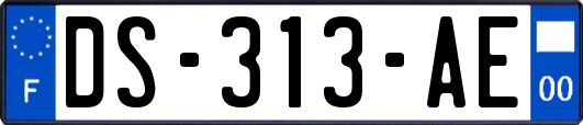 DS-313-AE