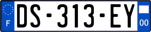 DS-313-EY