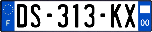 DS-313-KX