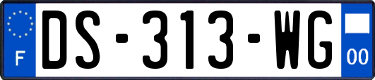 DS-313-WG