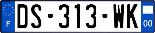 DS-313-WK