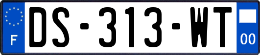 DS-313-WT