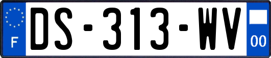 DS-313-WV